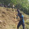 75th Independence Day Plantation Program and Invasive Plant Removal Program