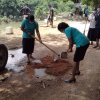 75th Independence Day Plantation Program and Invasive Plant Removal Program