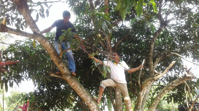 ශ්‍රමදාන වැඩසටහන