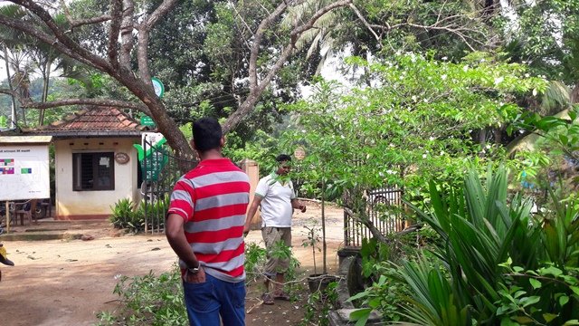 ශ්‍රමදාන වැඩසටහන