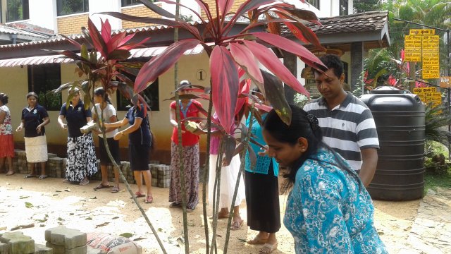 ශ්‍රමදාන වැඩසටහන