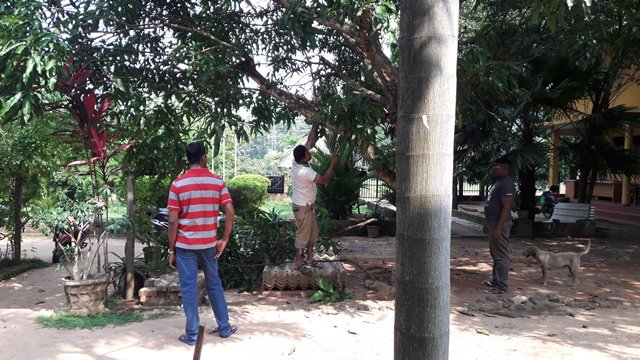 ශ්‍රමදාන වැඩසටහන