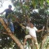 ශ්‍රමදාන වැඩසටහන