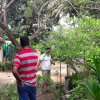 ශ්‍රමදාන වැඩසටහන