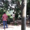 ශ්‍රමදාන වැඩසටහන